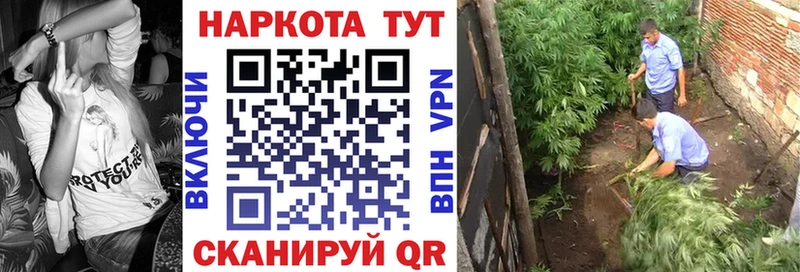 Магазины продажи наркотиков Райчихинск МЕГА вход  Амфетамин  ГАШ  Меф мяу мяу  СОЛЬ  Cocaine 