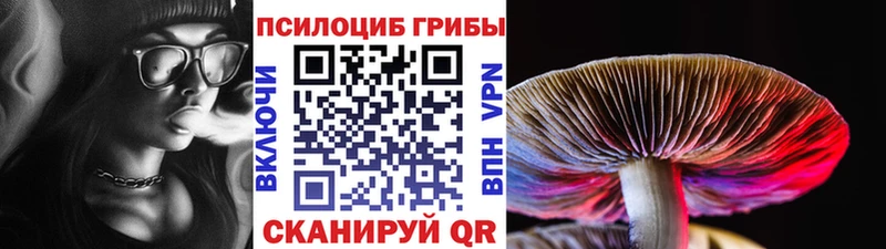 Галлюциногенные грибы Cubensis  как найти закладки  Райчихинск 